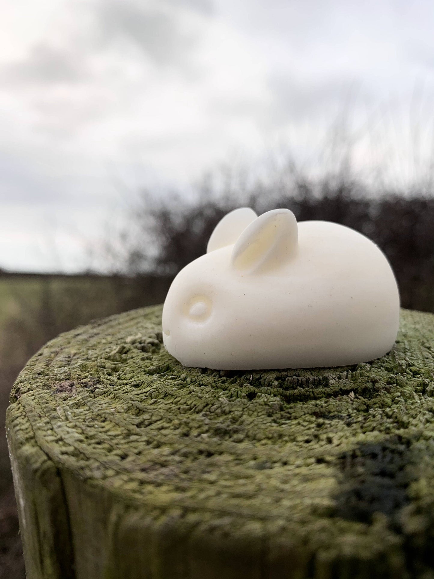 3x Bunny Wax Melts