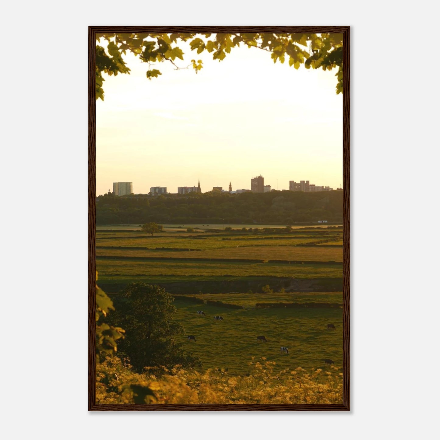 d358ab7d-416b-4529-ad26-9fc0e5b4feed